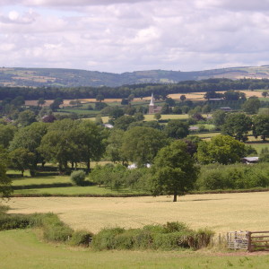 View from Gorsty Hill