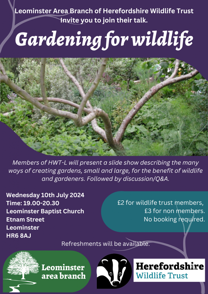 Gardening for wildlife (updated)