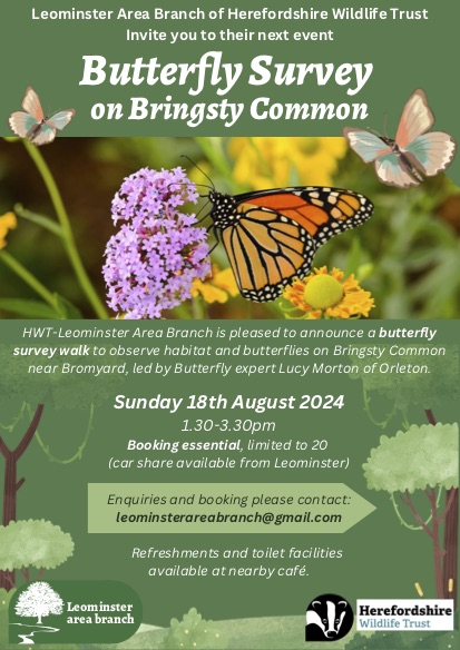 August butterfly survey