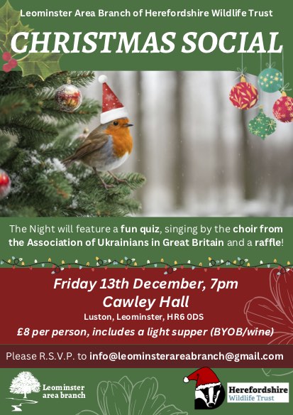 Christmas social event-1